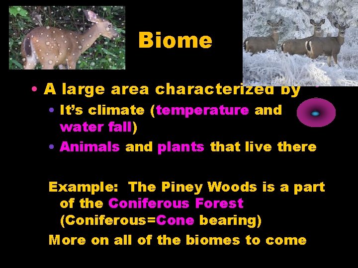 Biome • A large area characterized by • It’s climate (temperature and water fall)