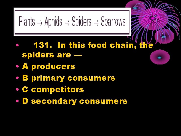  • • • 131. In this food chain, the spiders are — A