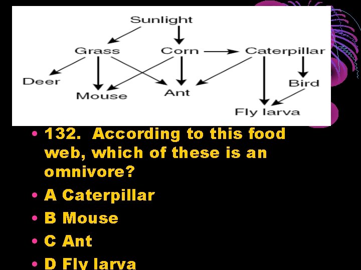  • 132. According to this food web, which of these is an omnivore?