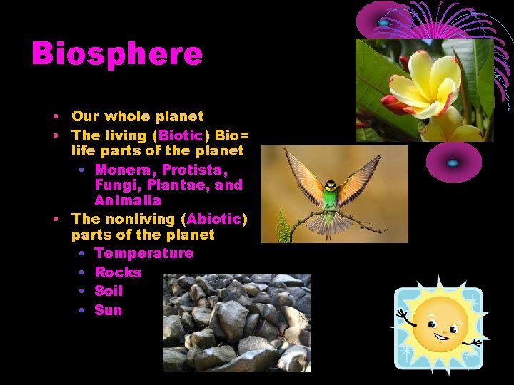 Biosphere • Our whole planet • The living (Biotic) Bio= life parts of the