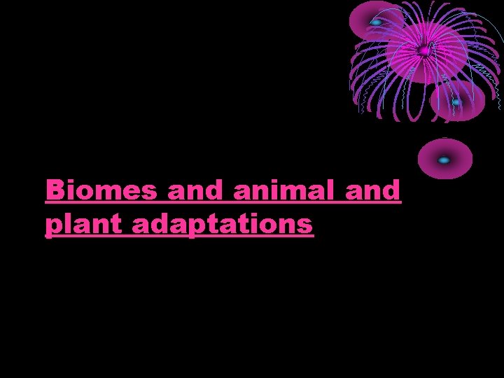 Biomes and animal and plant adaptations 