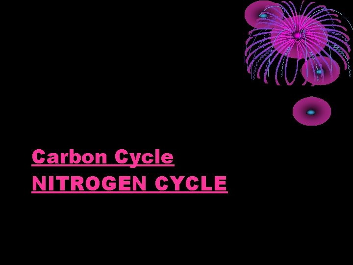 Carbon Cycle NITROGEN CYCLE 