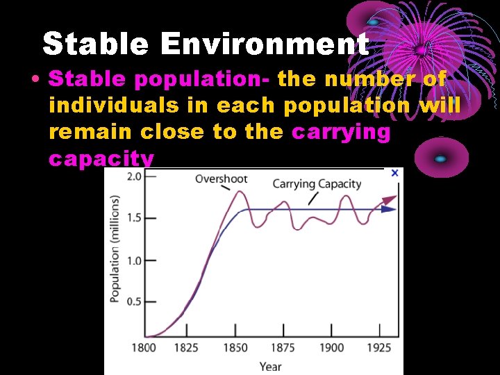 Stable Environment • Stable population- the number of individuals in each population will remain