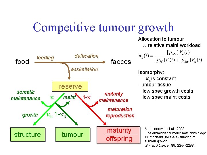 Competitive tumour growth Allocation to tumour relative maint workload food defecation feeding faeces assimilation