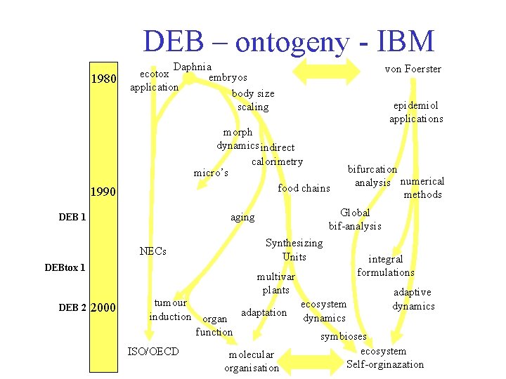 DEB – ontogeny - IBM 1980 Daphnia ecotox embryos application body size scaling epidemiol