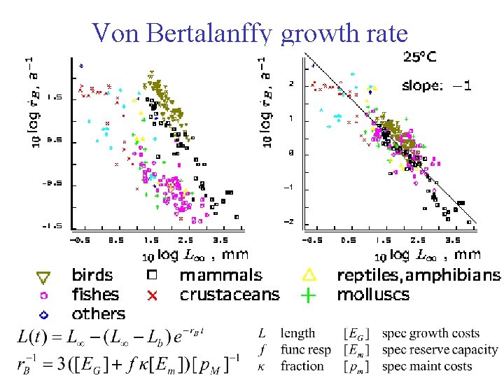 Von Bertalanffy growth rate 