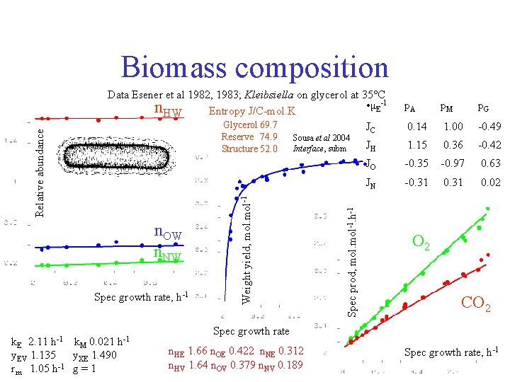 Biomass composition n. OW n. NW Spec growth rate, h-1 k. E 2. 11