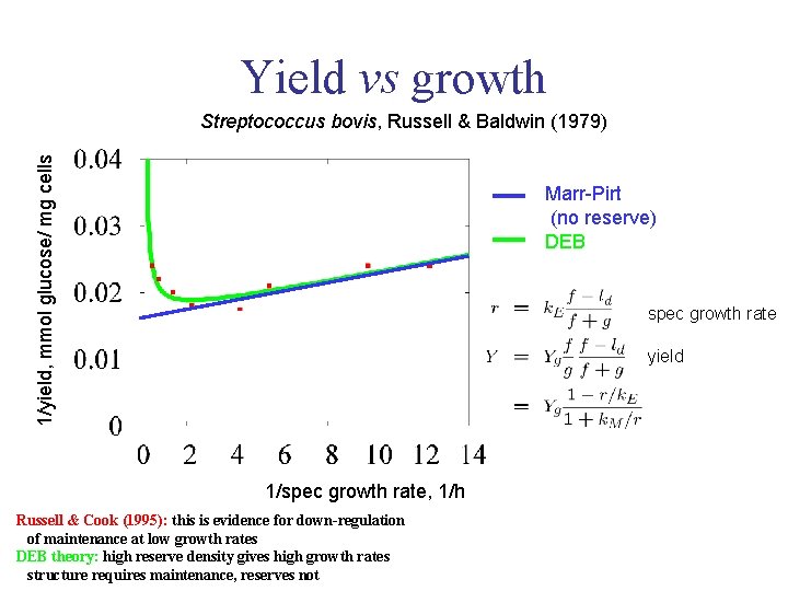 Yield vs growth 1/yield, mmol glucose/ mg cells Streptococcus bovis, Russell & Baldwin (1979)