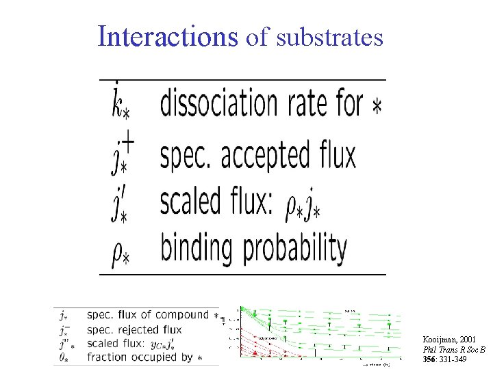 Interactions of substrates Kooijman, 2001 Phil Trans R Soc B 356: 331 -349 