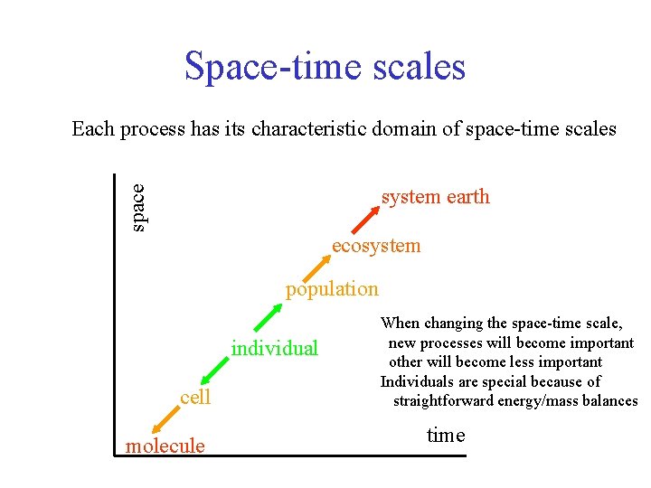 Space-time scales Each process has its characteristic domain of space-time scales space system earth