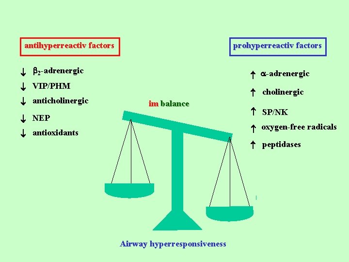 antihyperreactiv factors prohyperreactiv factors 2 -adrenergic VIP/PHM anticholinergic -adrenergic cholinergic im balance NEP antioxidants
