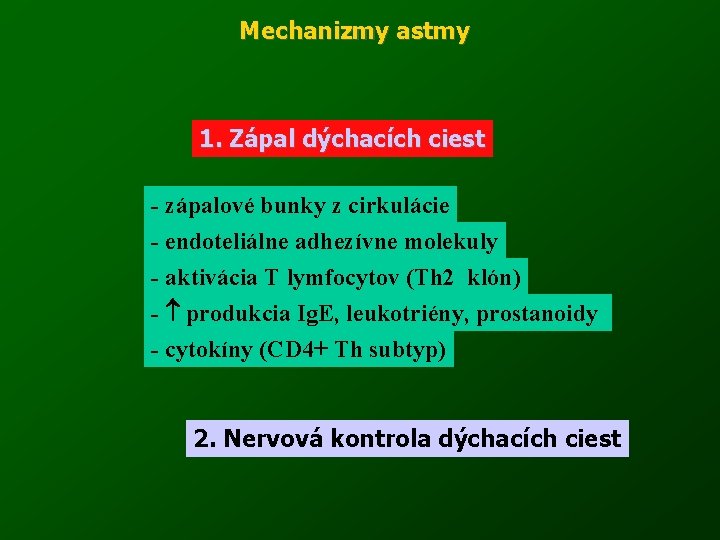 Mechanizmy astmy 1. Zápal dýchacích ciest - zápalové bunky z cirkulácie - endoteliálne adhezívne
