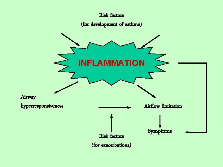 Risk factors (for development of asthma) INFLAMMATION Airway hyperresponsiveness Airflow limitation Risk factors (for