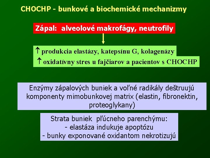 CHOCHP - bunkové a biochemické mechanizmy Zápal: alveolové makrofágy, neutrofily produkcia elastázy, katepsínu G,