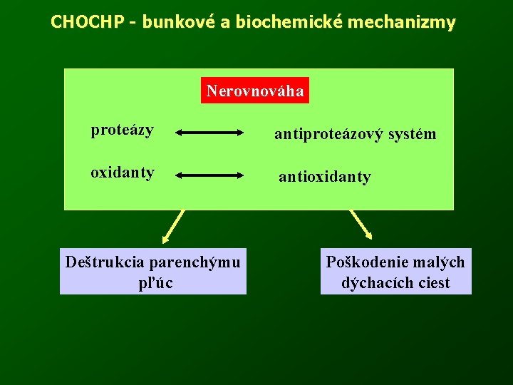 CHOCHP - bunkové a biochemické mechanizmy Nerovnováha proteázy antiproteázový systém oxidanty antioxidanty Deštrukcia parenchýmu