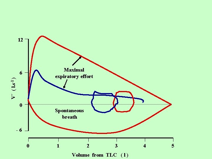 12 Maximal expiratory effort V´ ( l. s-1 ) 6 0 Spontaneous breath -6