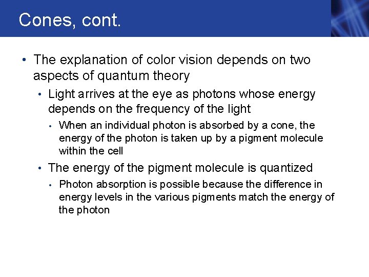Cones, cont. • The explanation of color vision depends on two aspects of quantum Cones, cont. • The explanation of color vision depends on two aspects of quantum