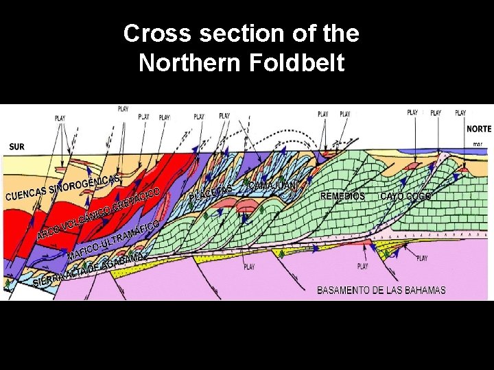 Cross section of the Northern Foldbelt 