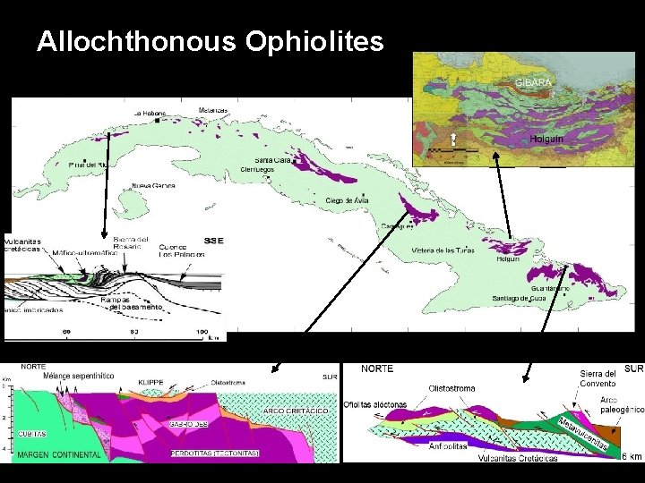 Allochthonous Ophiolites 