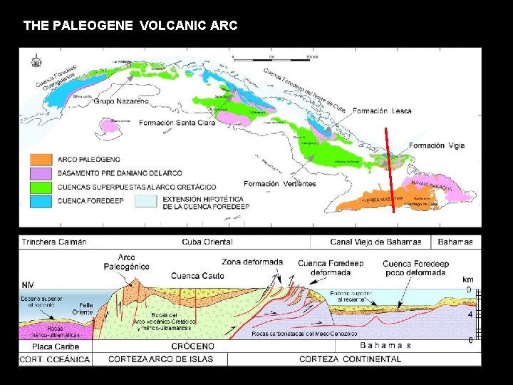 THE PALEOGENE VOLCANIC ARC 