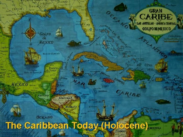 The Caribbean Today (Holocene) 