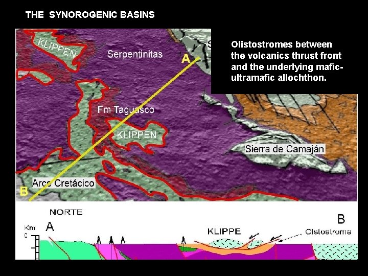 THE SYNOROGENIC BASINS Olistostromes between the volcanics thrust front and the underlying maficultramafic allochthon.