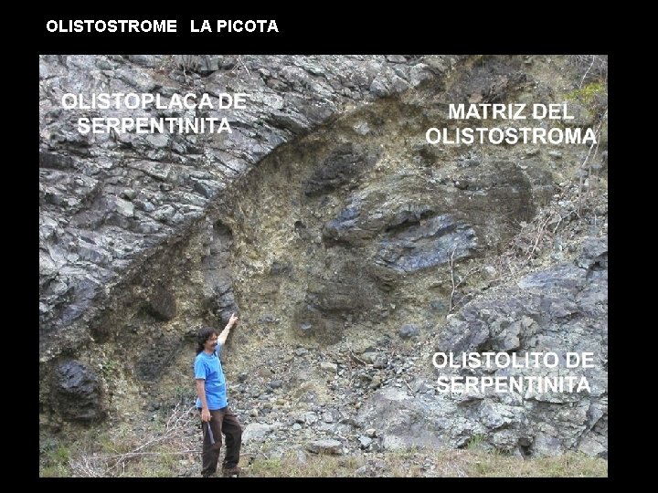 OLISTOSTROME LA PICOTA 