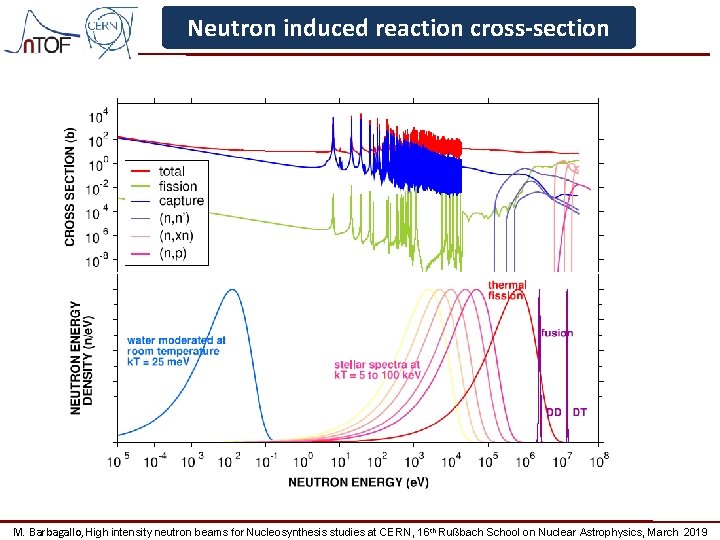 Neutron induced reaction cross-section M. Barbagallo, High intensity neutron beams for Nucleosynthesis studies at