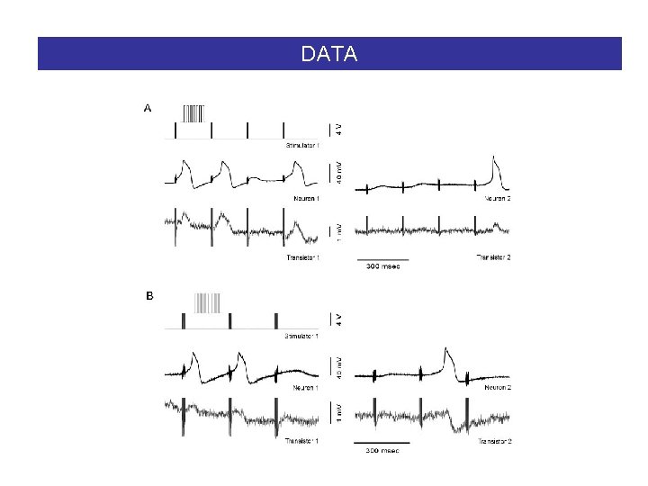 DATA 