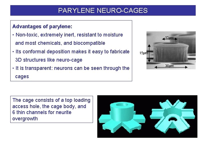 PARYLENE NEURO-CAGES Advantages of parylene: • Non-toxic, extremely inert, resistant to moisture and most