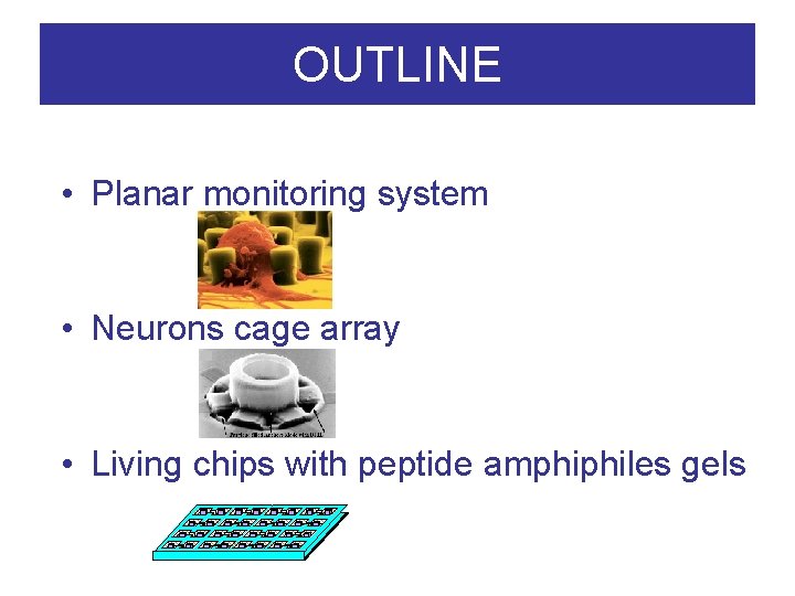 OUTLINE • Planar monitoring system • Neurons cage array • Living chips with peptide