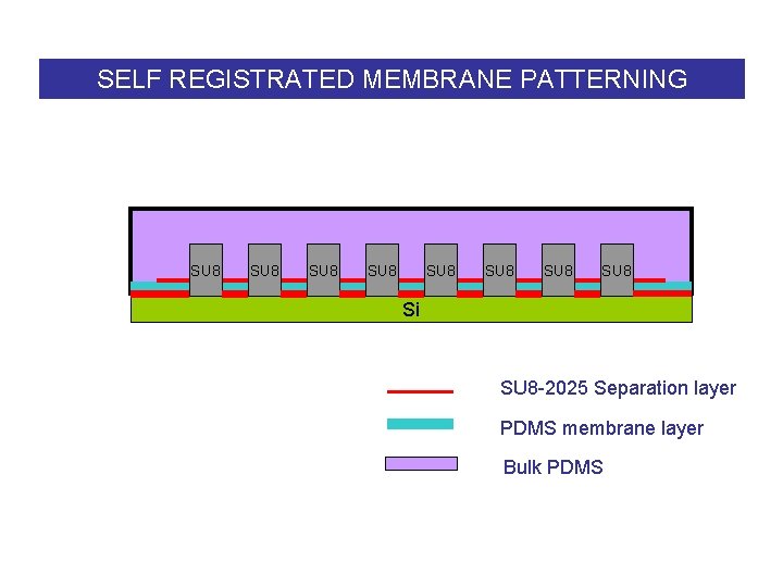 SELF REGISTRATED MEMBRANE PATTERNING SU 8 SU 8 Si SU 8 -2025 Separation layer