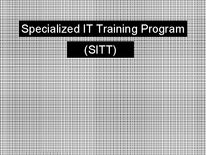 Specialized IT Training Program (SITT) 