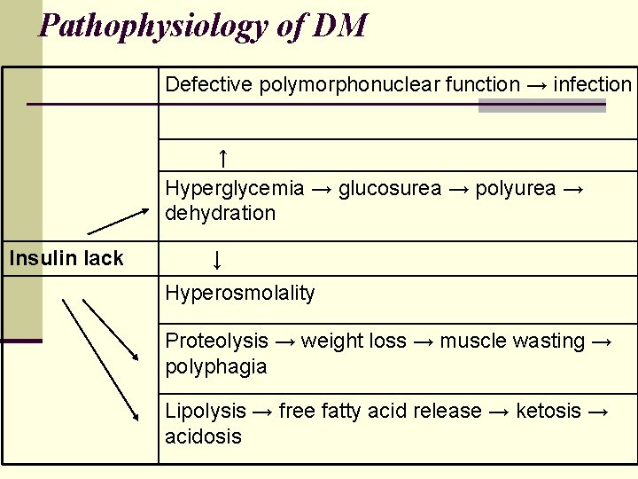 Pathophysiology of DM Defective polymorphonuclear function → infection ↑ Hyperglycemia → glucosurea → polyurea
