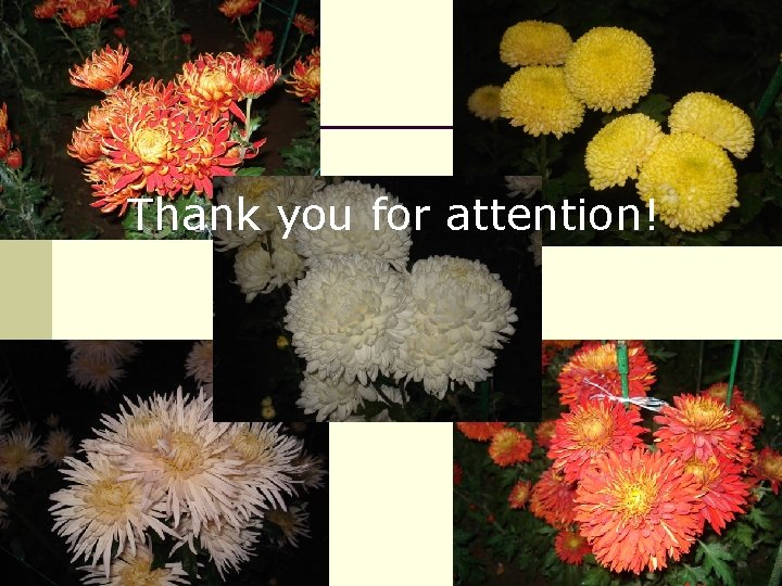 Thank you for attention! 