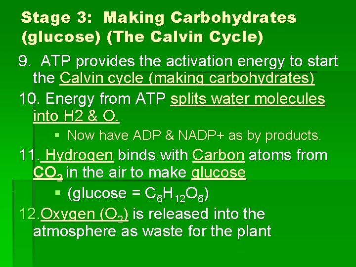 Stage 3: Making Carbohydrates (glucose) (The Calvin Cycle) 9. ATP provides the activation energy
