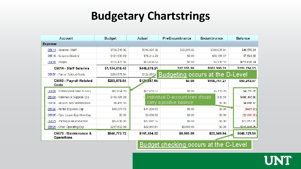 Budgetary Chartstrings Budgeting occurs at the D-Level Individual D-account lines should carry a positive
