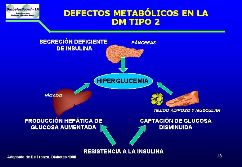 DEFECTOS METABÓLICOS EN LA DM TIPO 2 SECRECIÓN DEFICIENTE DE INSULINA PÁNCREAS HIPERGLUCEMIA HÍGADO