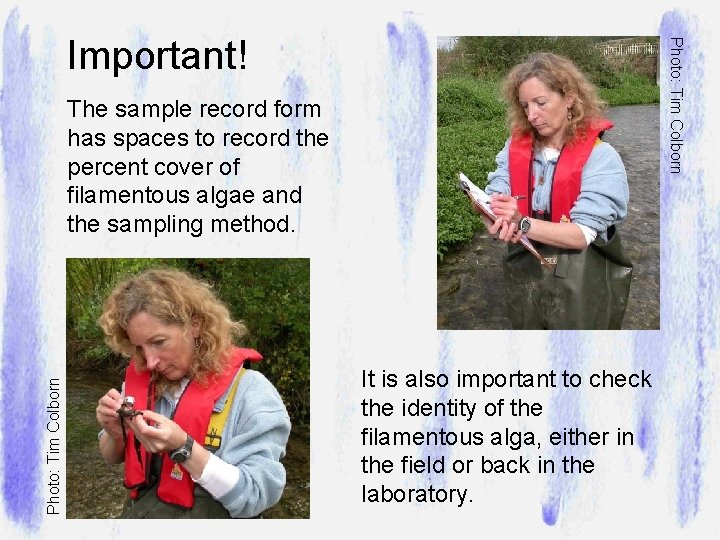 Photo: Tim Colborn Important! Photo: Tim Colborn The sample record form has spaces to