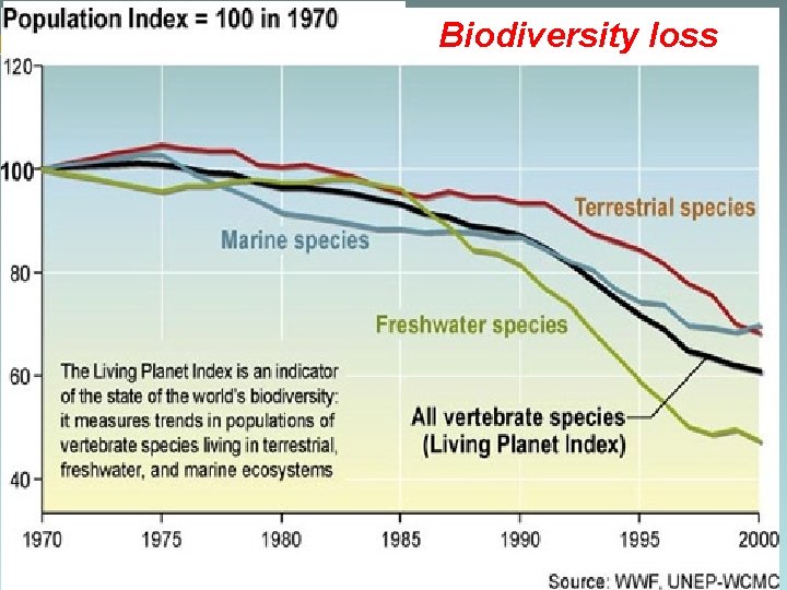 Biodiversity loss 