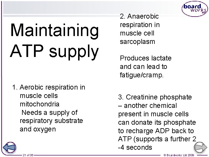 Maintaining ATP supply 1. Aerobic respiration in muscle cells mitochondria Needs a supply of