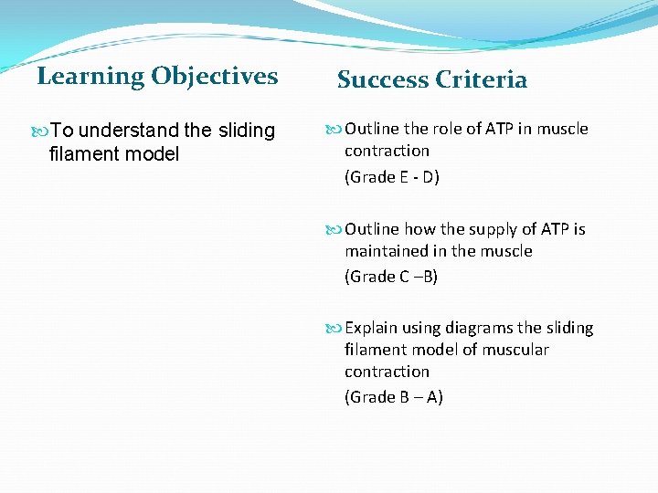 Learning Objectives To understand the sliding filament model Success Criteria Outline the role of