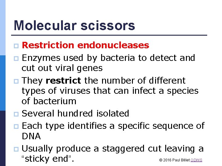 Molecular scissors Restriction endonucleases p Enzymes used by bacteria to detect and cut out