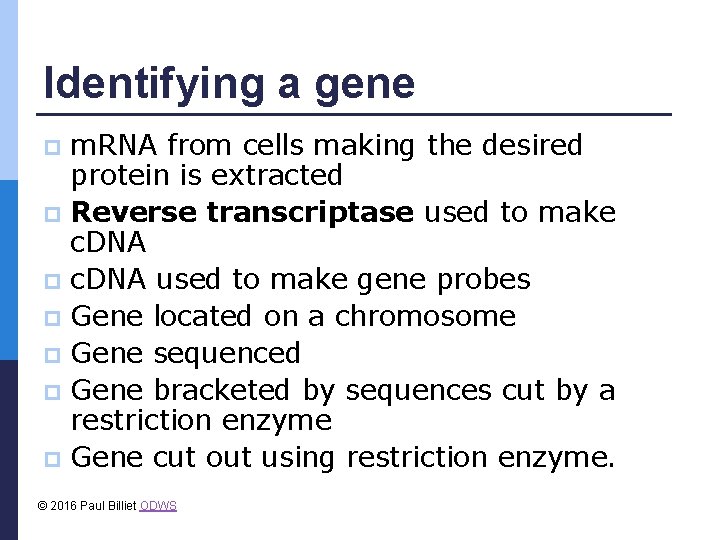 Identifying a gene m. RNA from cells making the desired protein is extracted p