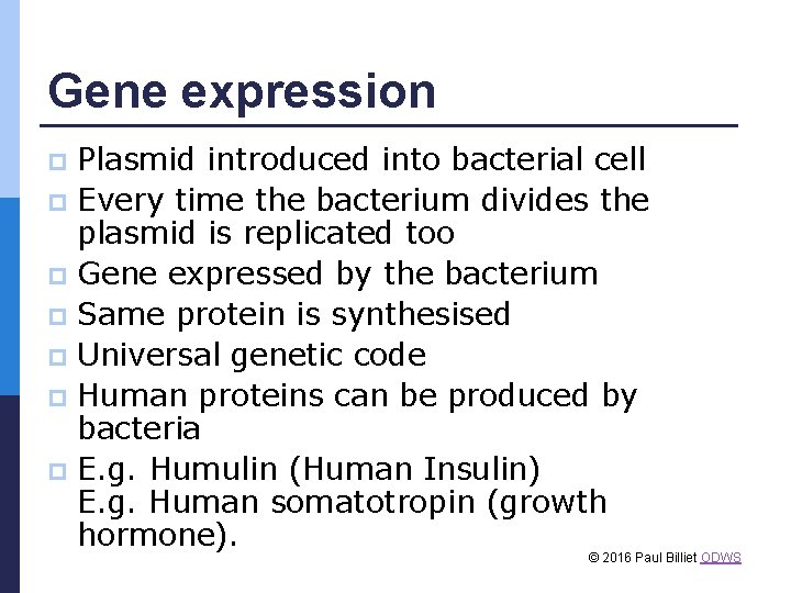 Gene expression Plasmid introduced into bacterial cell p Every time the bacterium divides the