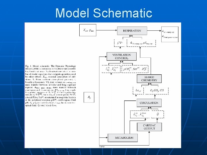 Model Schematic 