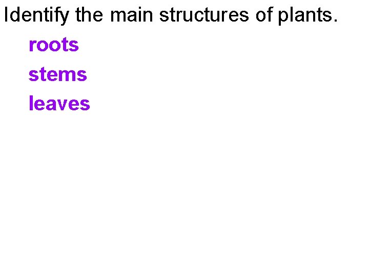Identify the main structures of plants. roots stems leaves 