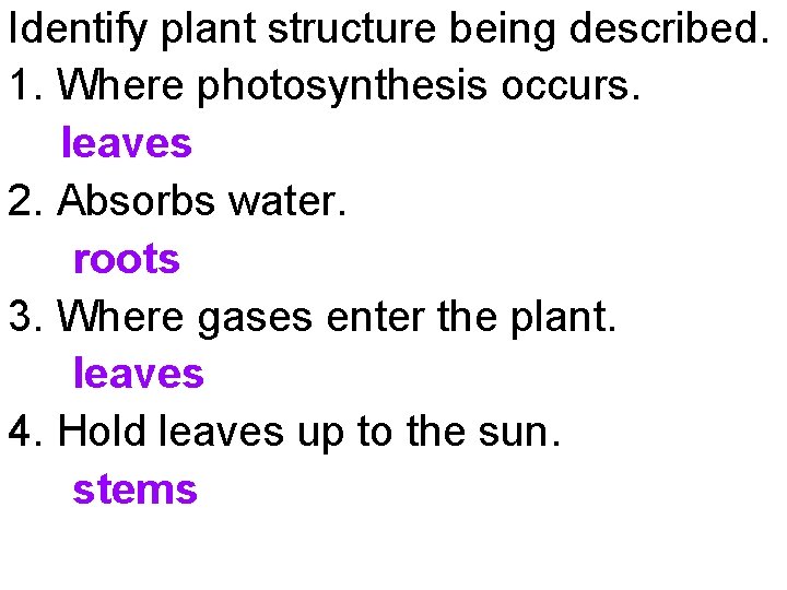 Identify plant structure being described. 1. Where photosynthesis occurs. leaves 2. Absorbs water. roots