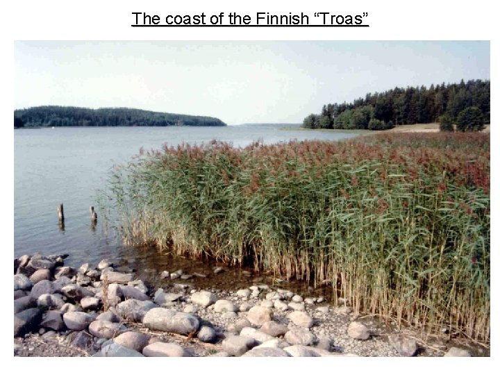 The coast of the Finnish “Troas” 