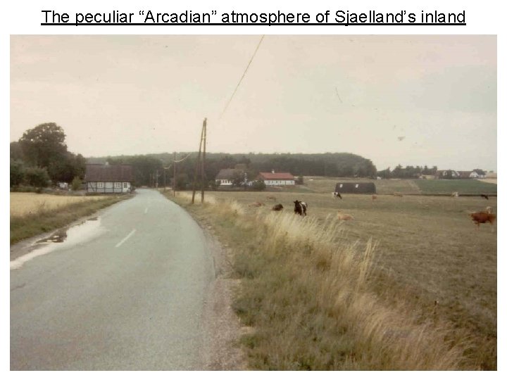 The peculiar “Arcadian” atmosphere of Sjaelland’s inland 